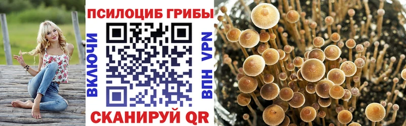 Псилоцибиновые грибы мицелий  даркнет сайт  OMG ССЫЛКА  Мамоново 